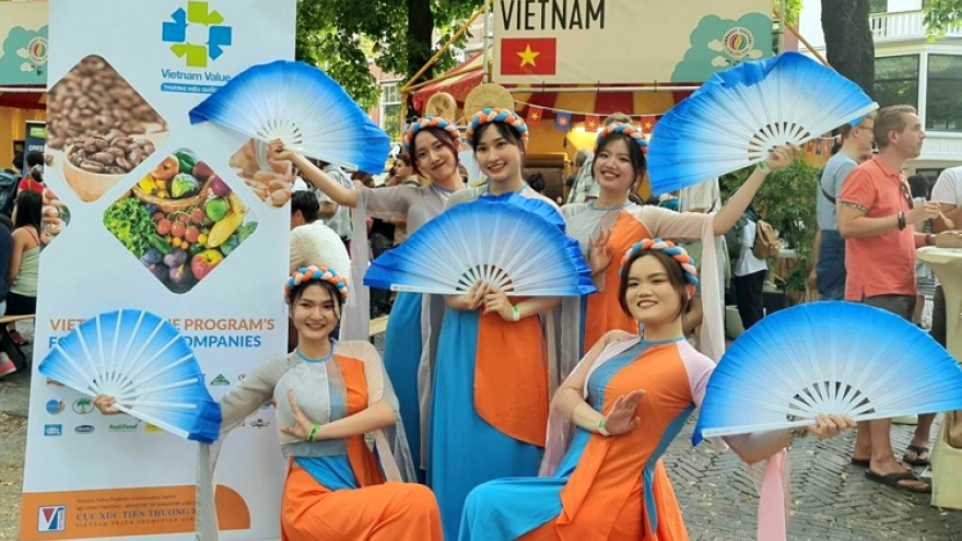 Vietnamese culture introduced at Embassy Festival in Netherlands