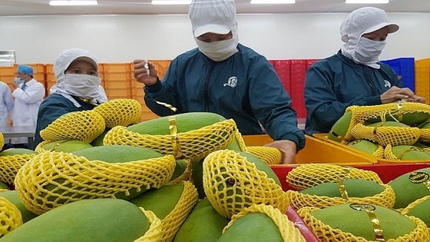 Malaysian newspaper highlights burgeoning Vietnamese fruit exports