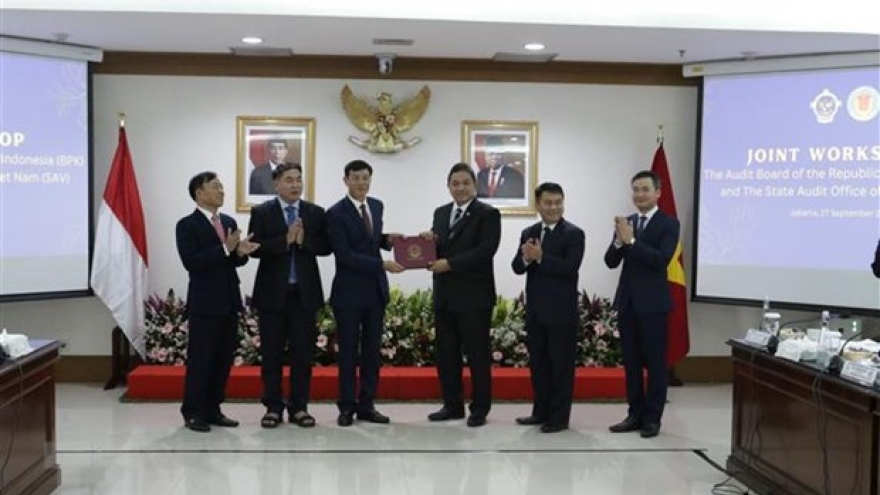 Vietnam, Indonesia share audit experience