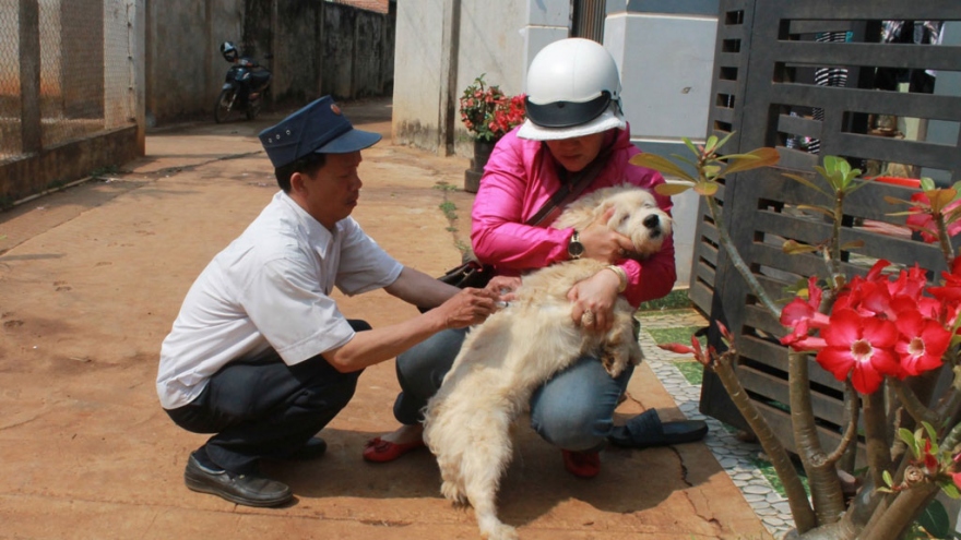 Cảnh báo nguy cơ có nhiều ca bệnh dại ở Đắk Lắk