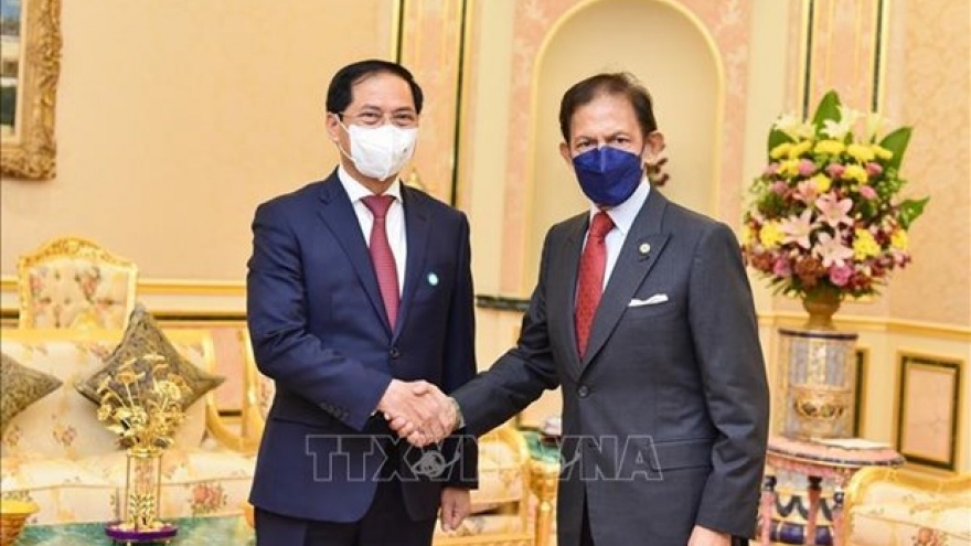 Vietnam – an important partner of Brunei: Sultan Haji Hassanal Bolkiah