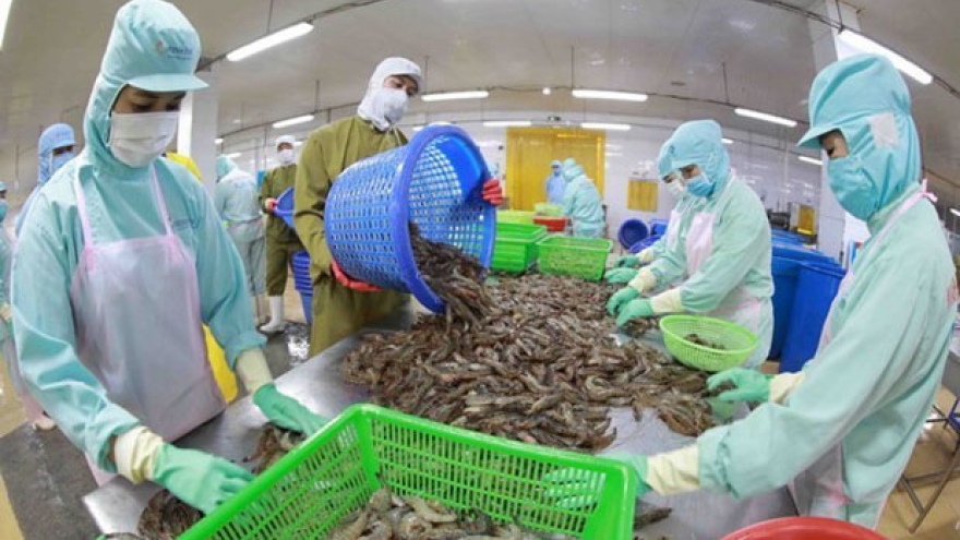 Shrimp export falling, tra fish up