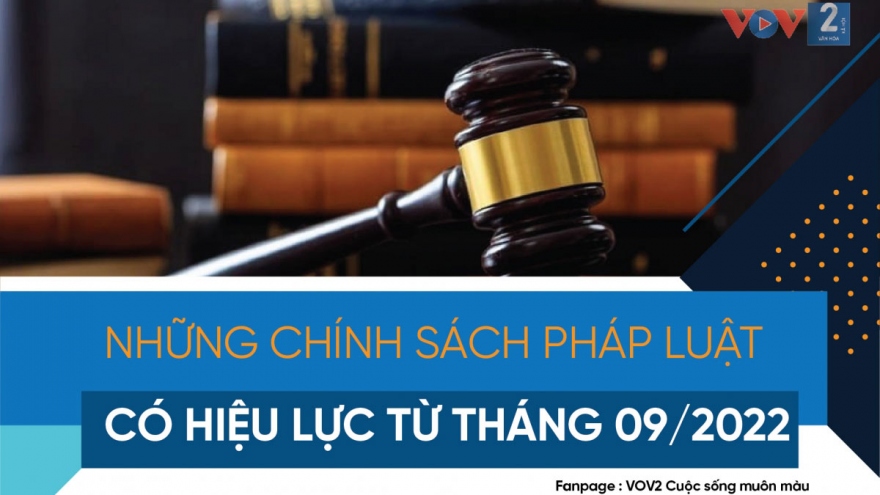 Những chính sách pháp luật có hiệu lực tháng 9/2022