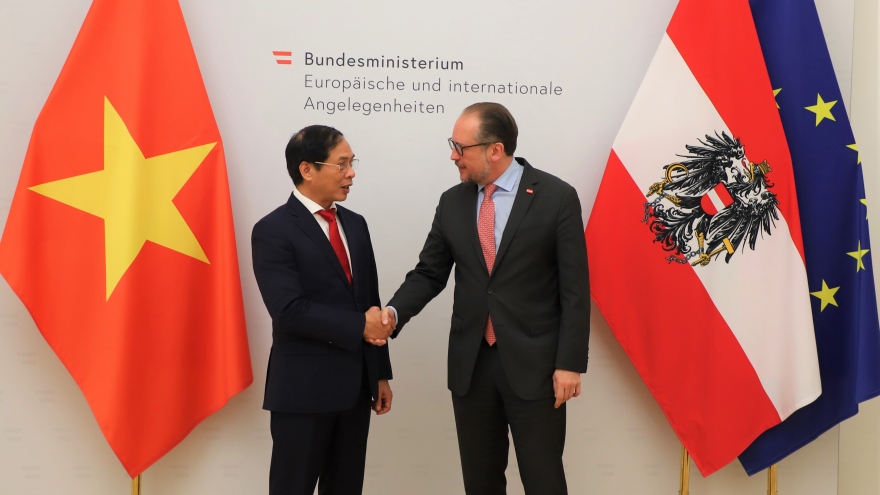 Hội đàm giữa Bộ trưởng Bộ Ngoại giao Việt Nam và Áo