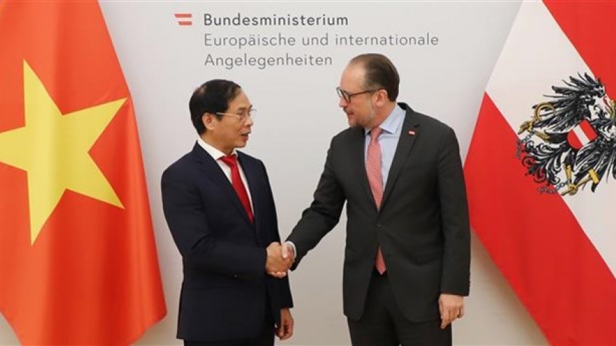 Foreign Minister Bui Thanh Son pays official visit to Austria