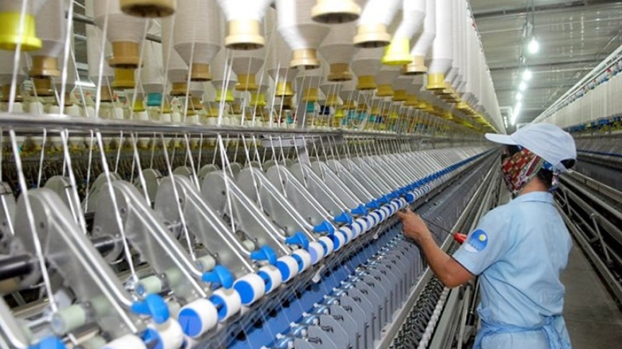 Ho Chi Minh City to host Vietnam Cotton Day 2022 