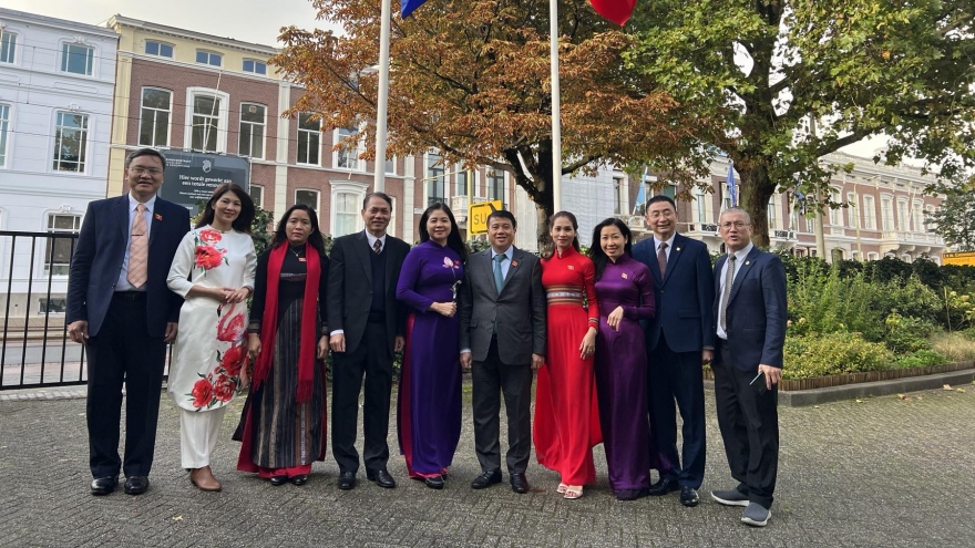 Đoàn đại biểu Hội đồng Dân tộc Quốc hội làm việc tại Hà Lan