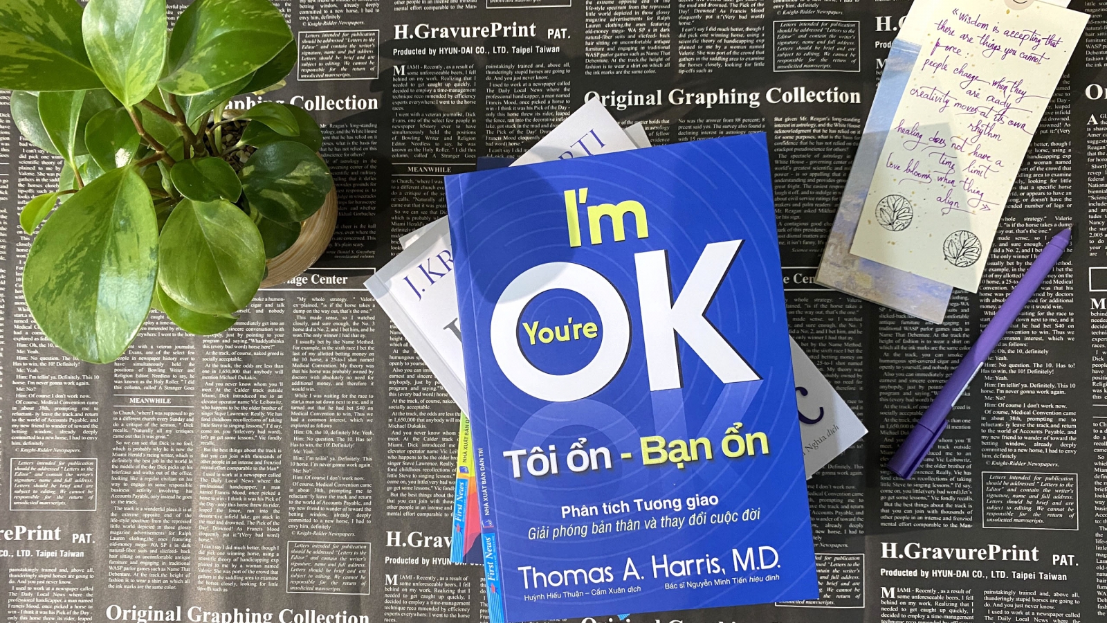 "Tôi ổn - Bạn ổn" và hành trình có thể bắt đầu tự chữa lành 