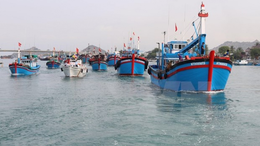 EC’s upcoming visit to Vietnam to review IUU fishing fight