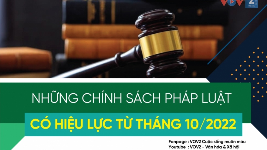 Những chính sách pháp luật có hiệu lực từ tháng 10/2022