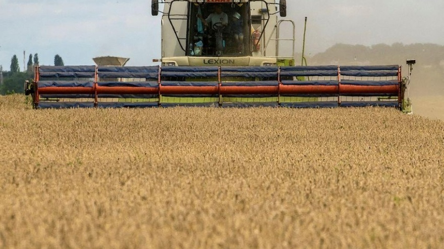 Thỏa thuận ngũ cốc giữa Nga và Ukraine liệu có chết yểu?