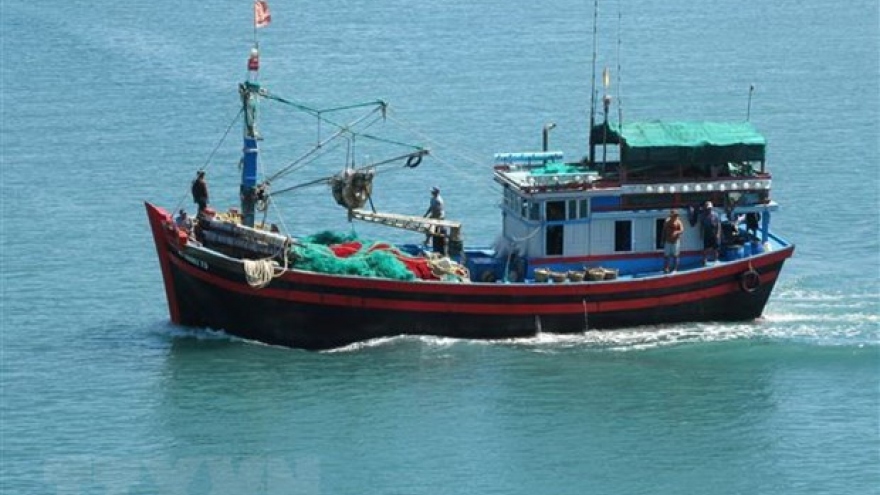 Coastal localities see better results in fighting IUU