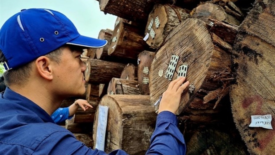 Huge potential for Vietnam’s timber exports