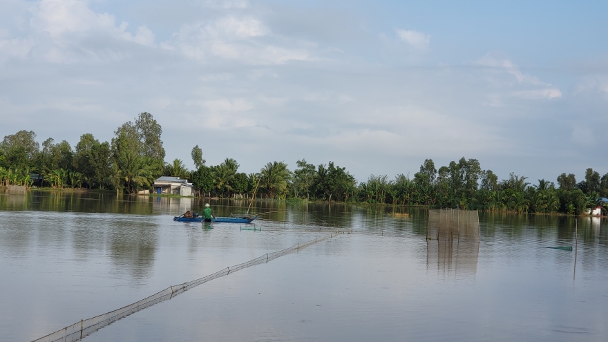 Gần 3.500 ha lúa, cây ăn trái, rau màu, khóm, mía bị ngập úng ở Hậu Giang