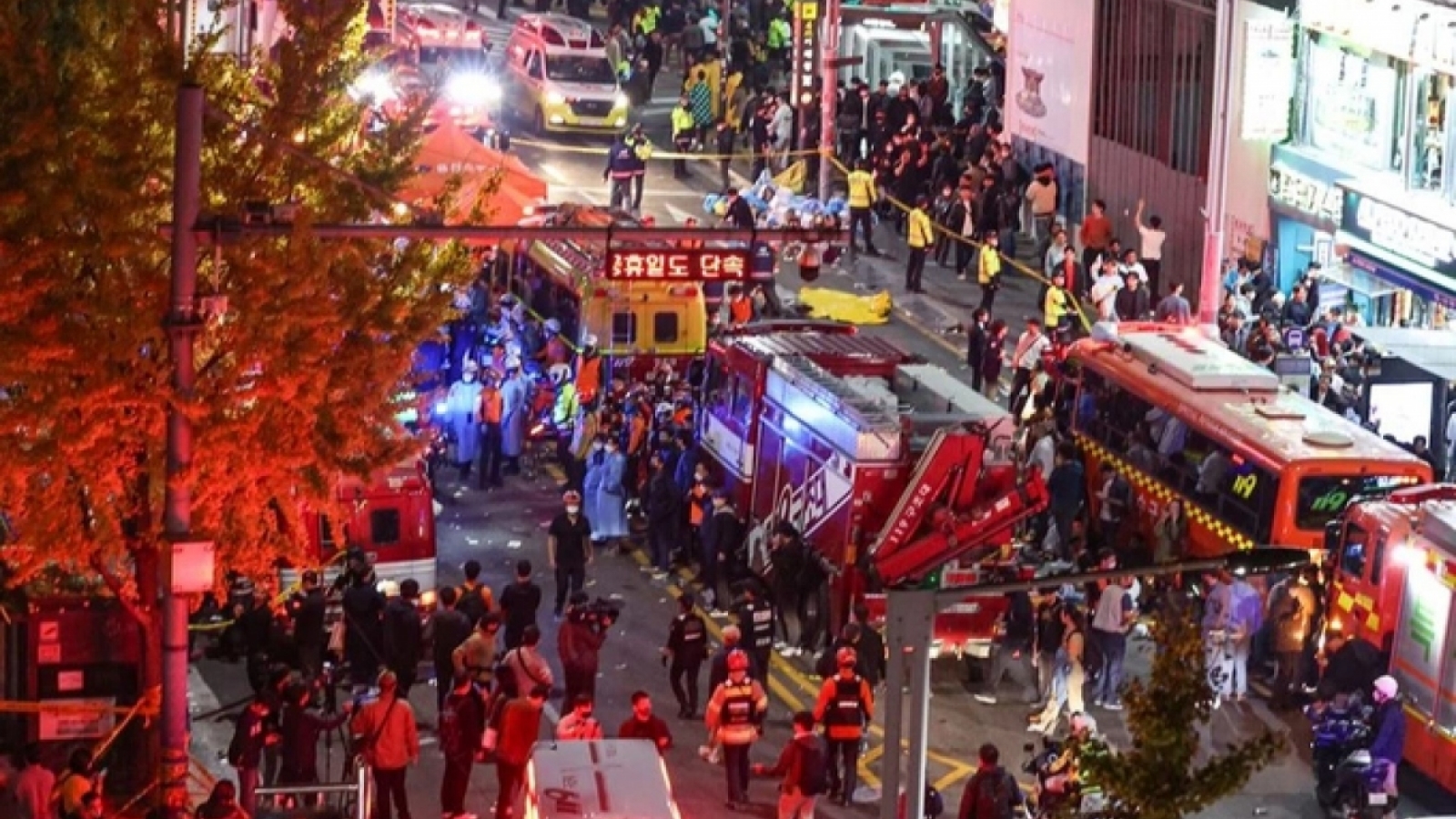 Embassy confirms a Vietnamese victim in Seoul stampede