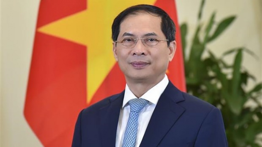 FM: Vietnam to join hands with int’l community to build a world of peace