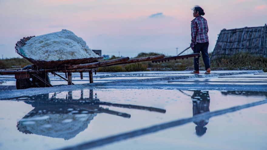Workers toil in largest salt field in northern Vietnam