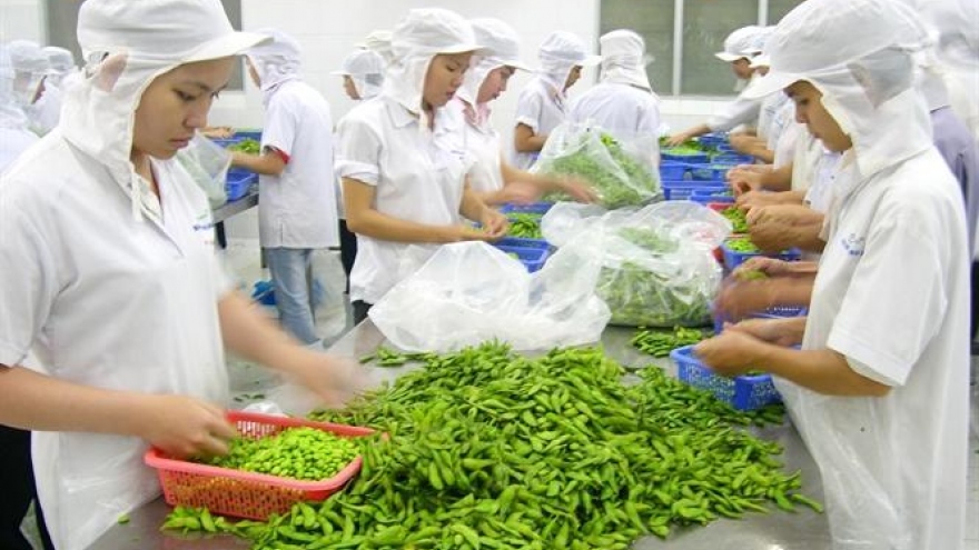 Fruit - vegetable exports likely to bring in US$3.2 billion this year