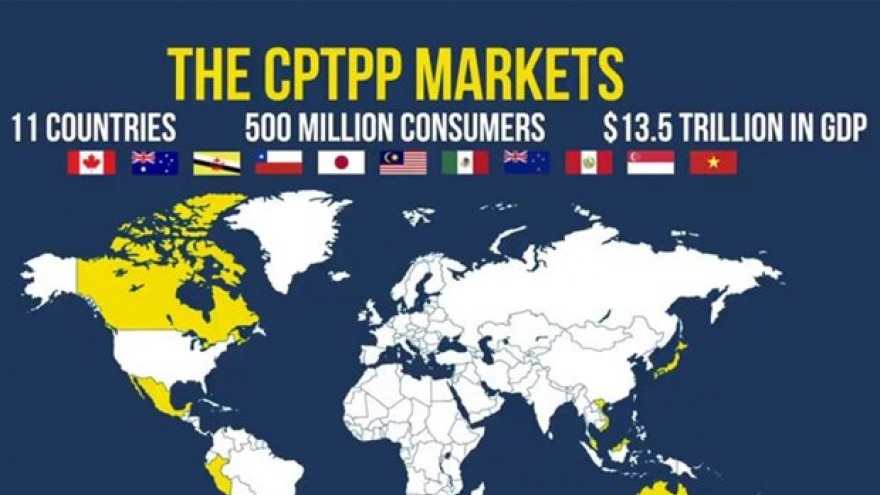 Vietnam’s exports to CPTPP countries up 38.7% in January- August period