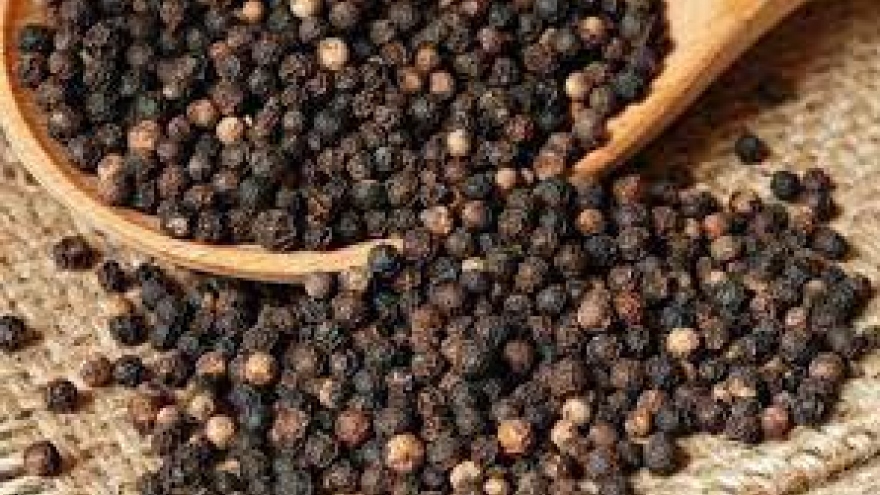 Pepper export value surges by 7.1% over nine-month period