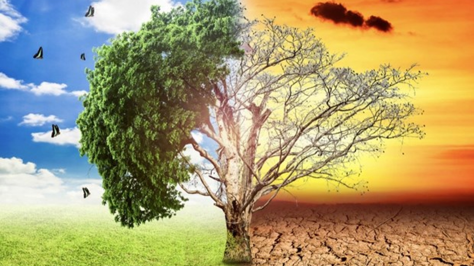 Vietnam calls for comprehensive approach in addressing climate change challenges