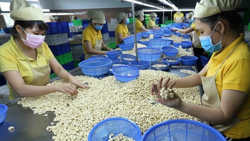 CPTPP helps boost Vietnam-Malaysia trade ties