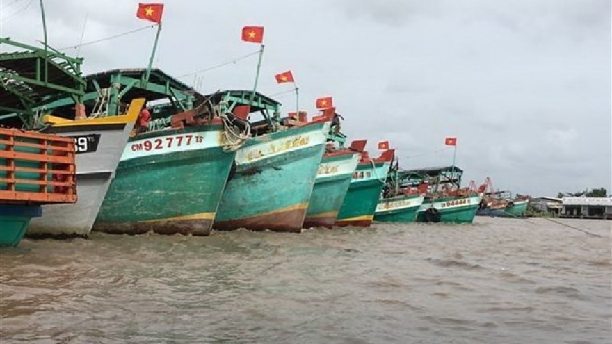 Vietnam making utmost efforts to tackle IUU fishing: Deputy PM