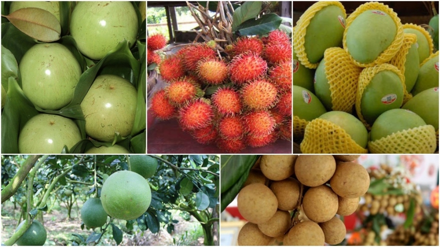 What are seven Vietnamese fruits officially licensed for export to US?