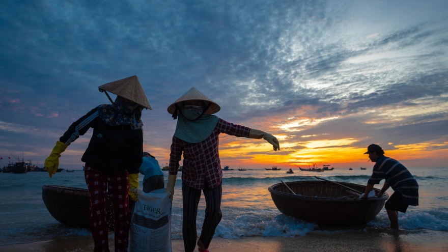Vẻ đẹp bình dị vào sáng sớm ở chợ cá lớn nhất Quảng Nam
