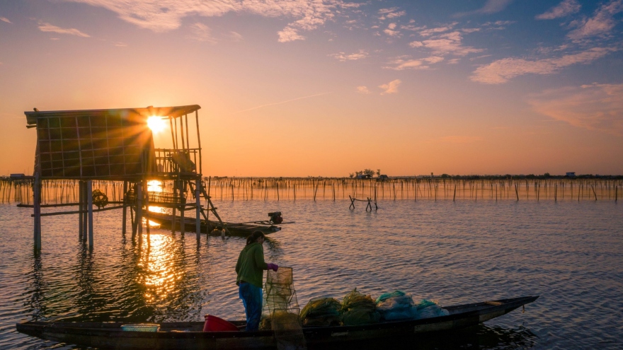 Mê hoặc với bình minh ở Đầm Chuồn