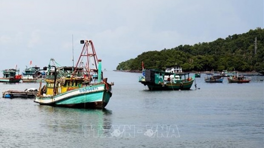 Fishery sector takes various measures to get EC yellow card removed