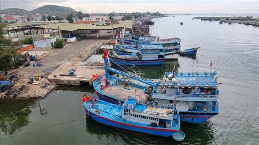 Many things to do to fight IUU fishing: VINAFIS leader