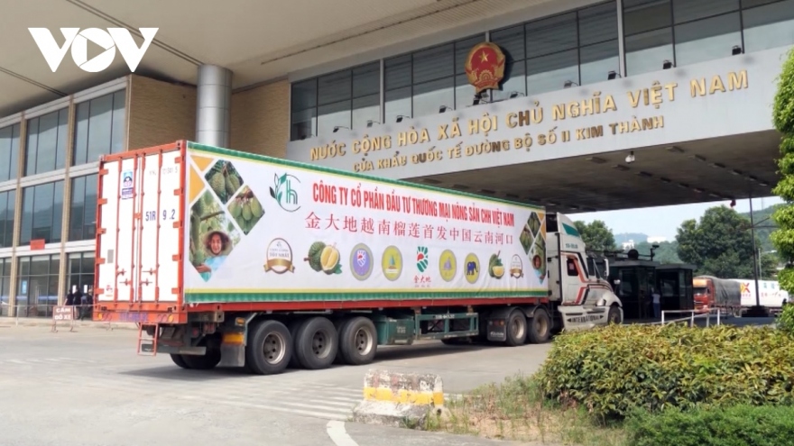 140 tấn sầu riêng xuất sang Trung Quốc qua cửa khẩu Lào Cai