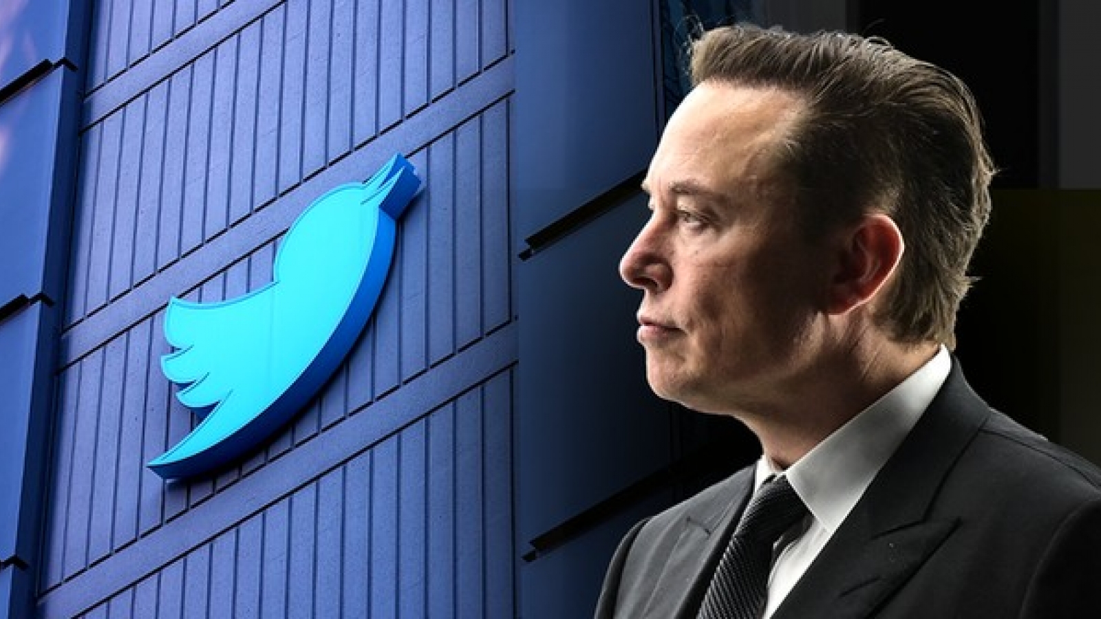 Vừa thâu tóm Twitter, Elon Musk sa thải hàng loạt lãnh đạo cấp cao 