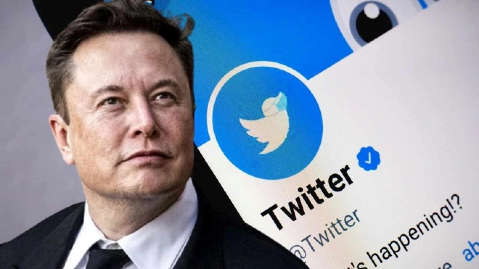 5 cải tiến mới Elon Musk đưa ra dành cho Twitter