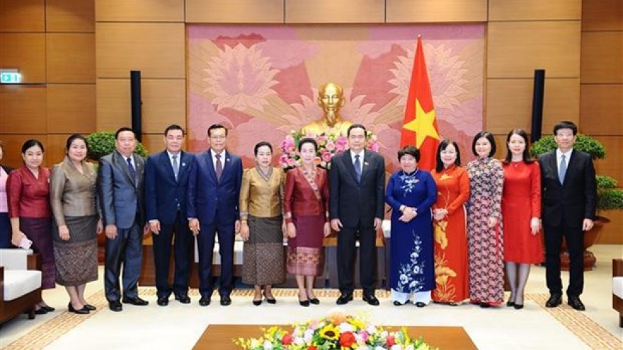 Vietnamese, Lao NAs share experience in social affairs