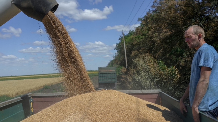 Thỏa thuận ngũ cốc Nga - Ukraine đổ vỡ ảnh hưởng an ninh lương thực toàn cầu