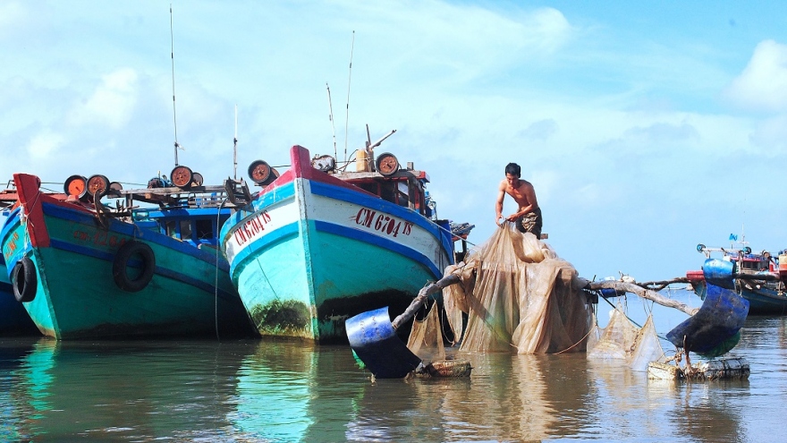 Tàu cá Cà Mau vẫn nằm bờ vì giá dầu tăng cao