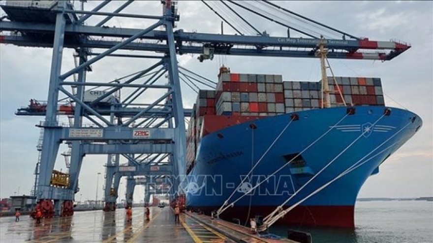 Vietnamese merchant fleet to handle 20% of imports & exports by 2030