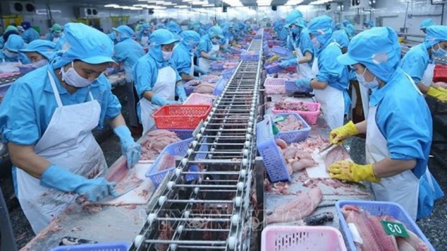 Tra fish exports to ASEAN growing strongly