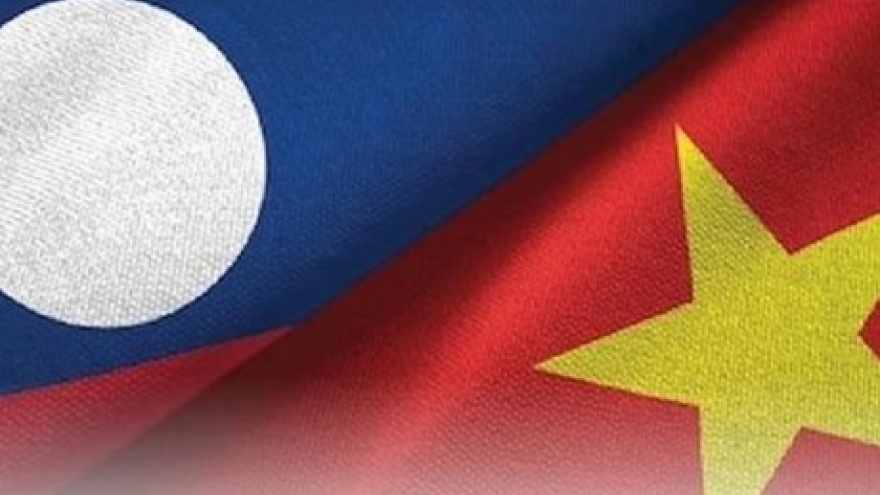 Lao Deputy PM receives Vietnam Red Cross Society President