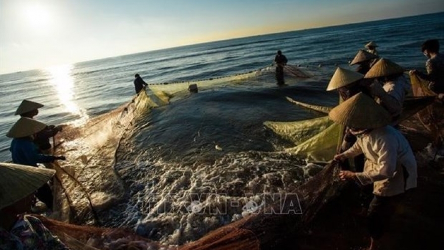 Removal of fishing “yellow card” an urgent task: Deputy PM