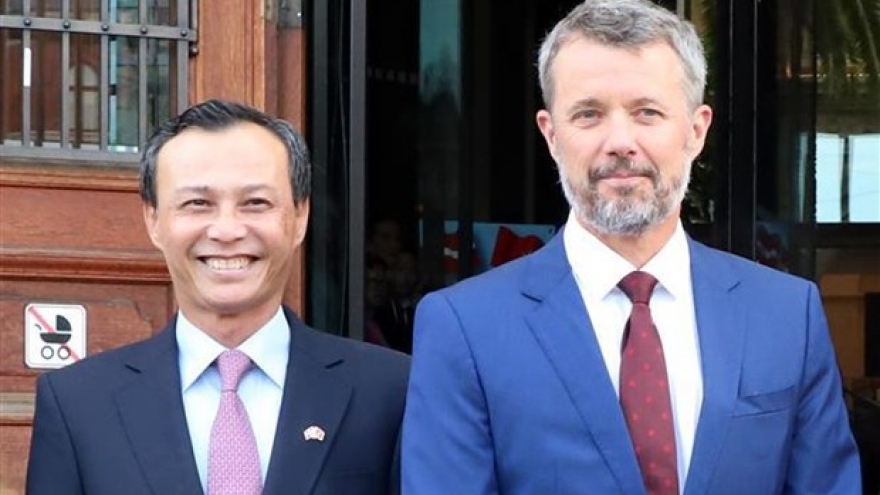 Danish firms keen on Vietnamese market: Diplomat
