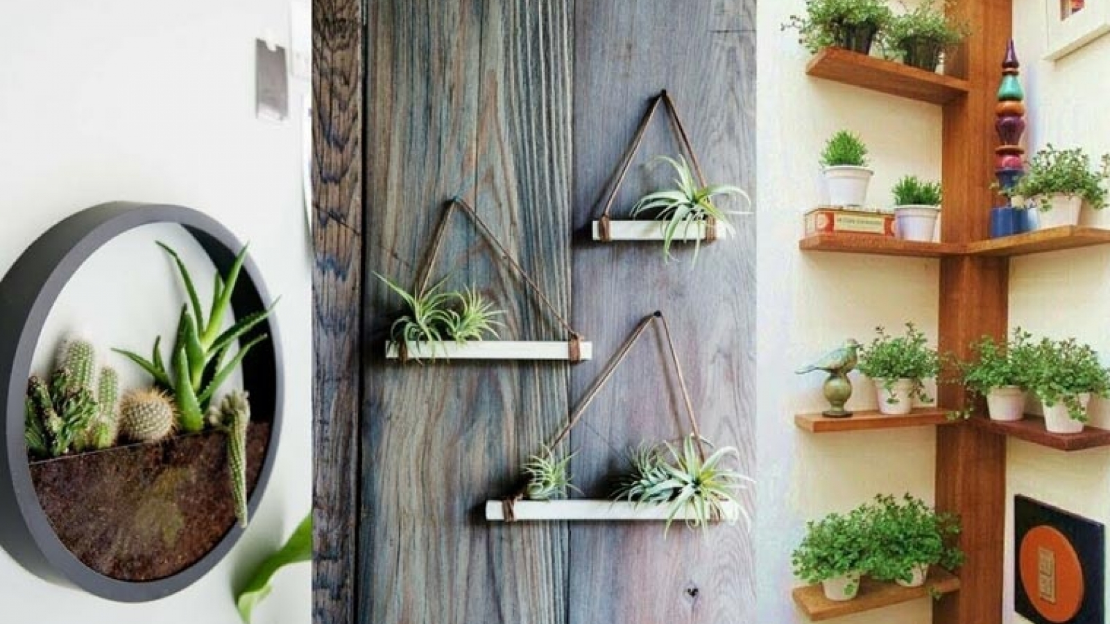 Ý tưởng trang trí độc đáo cho những bức tường ngoài trời