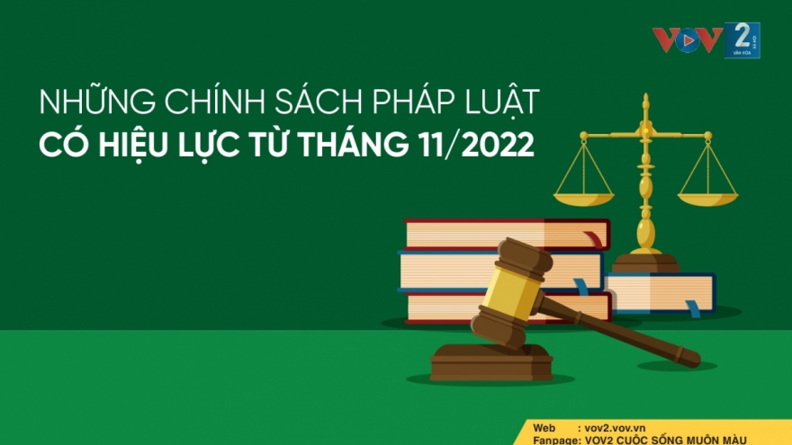 Những chính sách pháp luật có hiệu lực từ tháng 11/2022