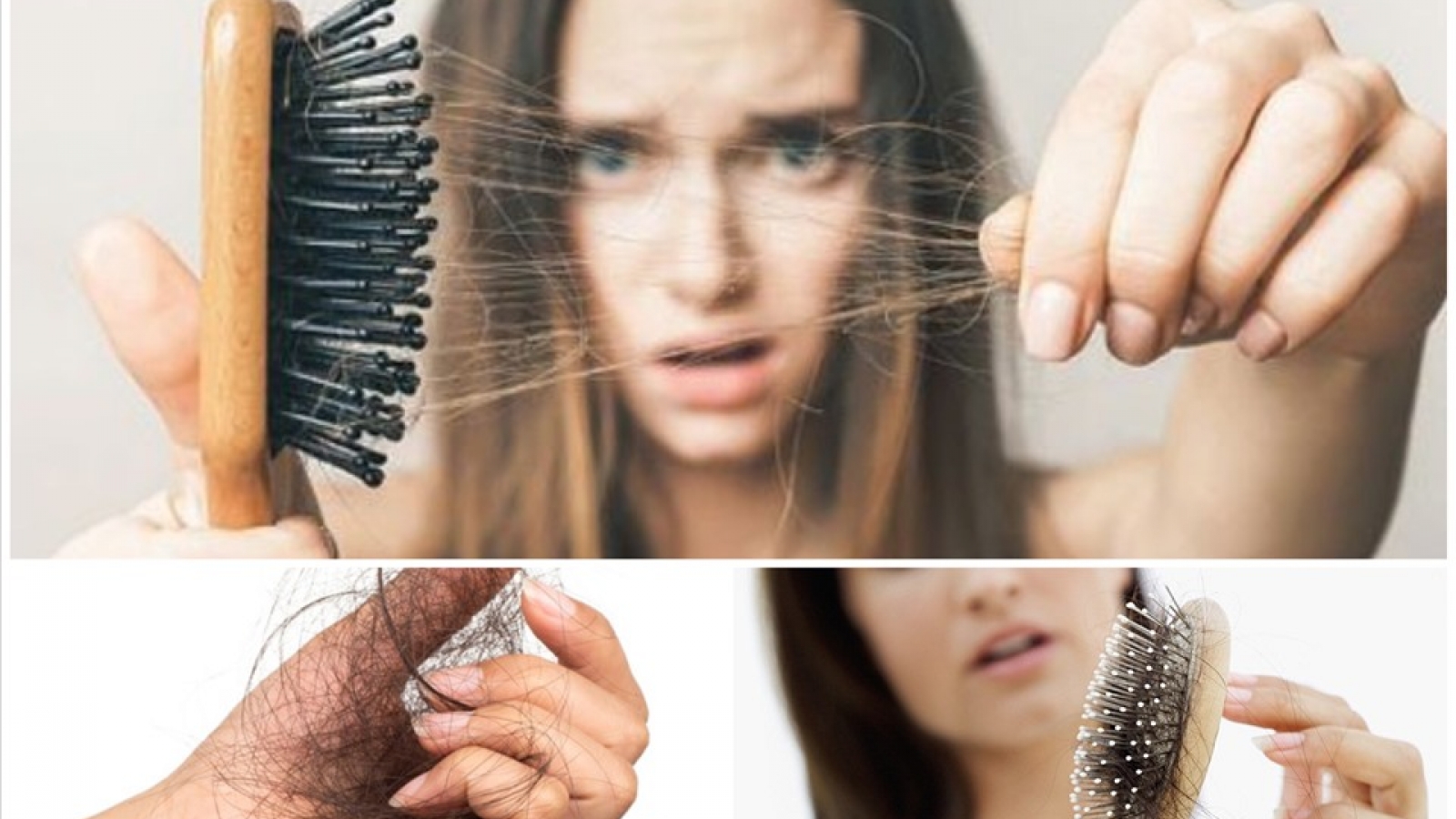Thực phẩm kích thích mọc tóc và ngăn ngừa gãy rụng