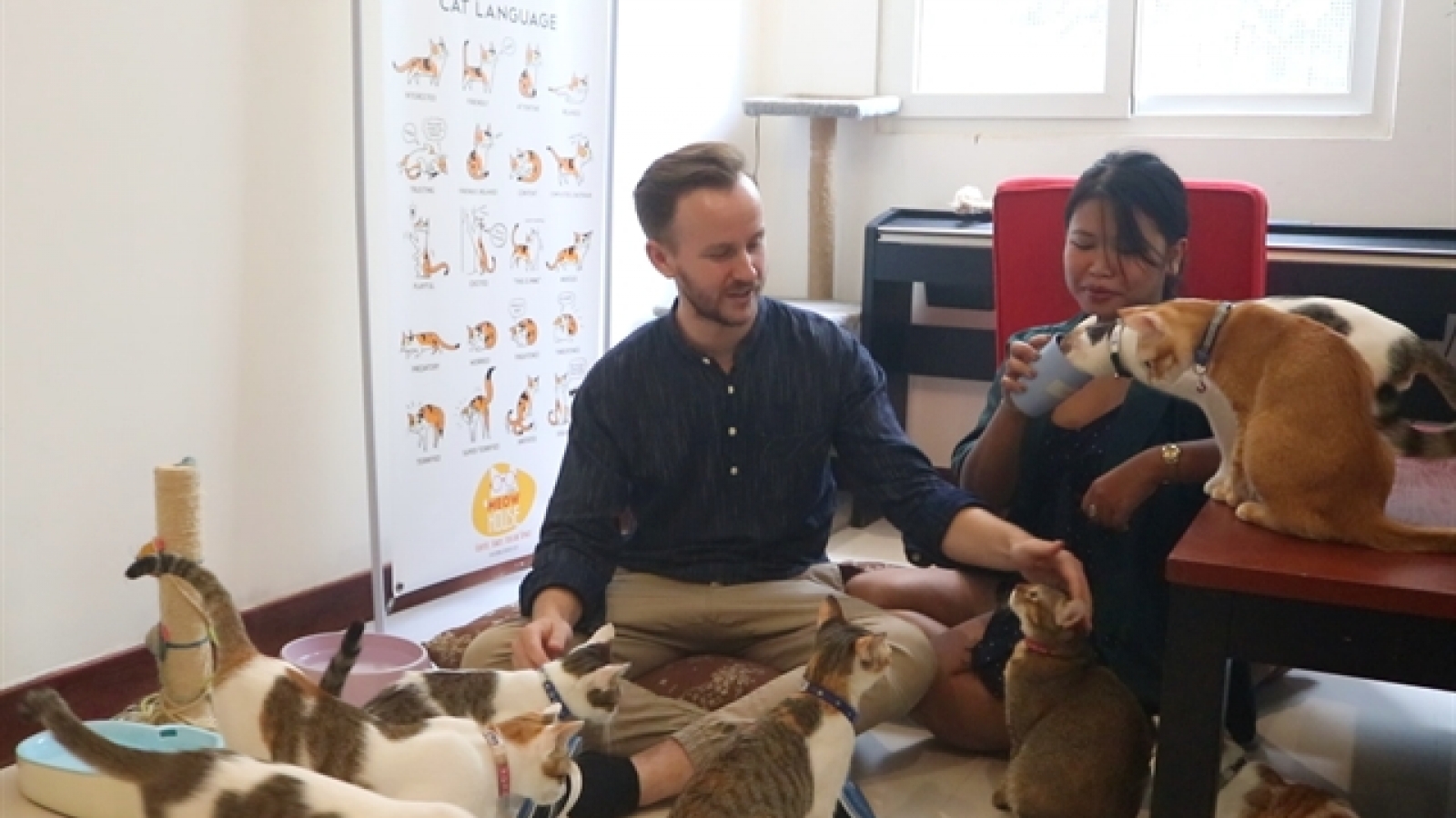 Cafe helps with stray cat adoption in HCM City
