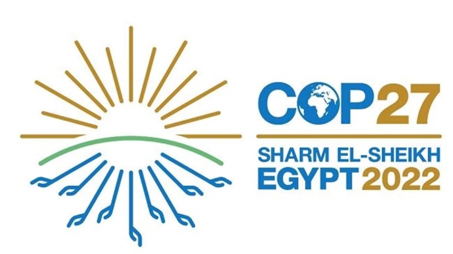 Ai Cập chuẩn bị khởi động chiến lược quốc gia về hydro xanh tại COP27