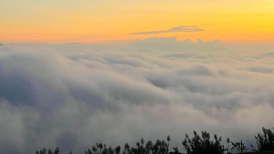 Khám phá 'thiên đường săn mây' mới ở Sơn La