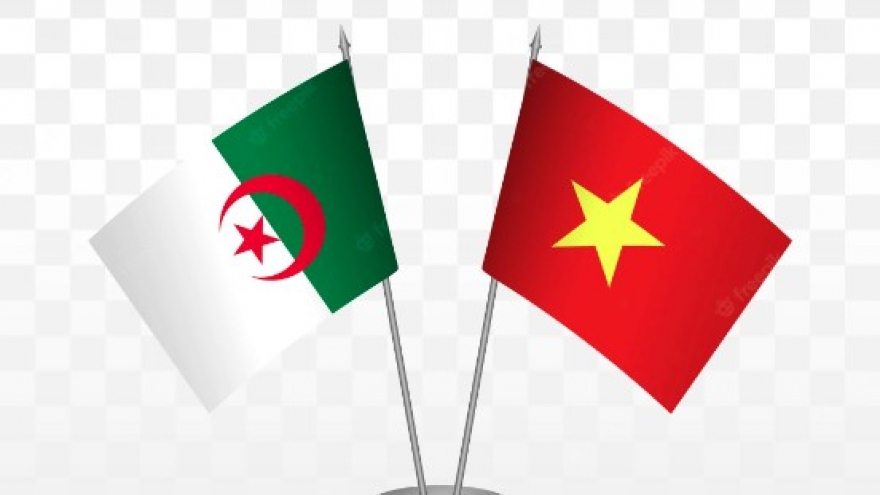 Vietnamese senior leaders extend greetings to Algeria on National Day